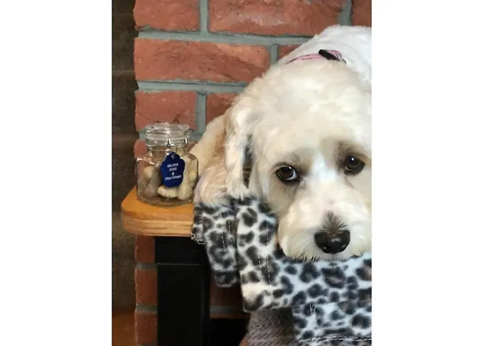 Paradise View Nyaraló *