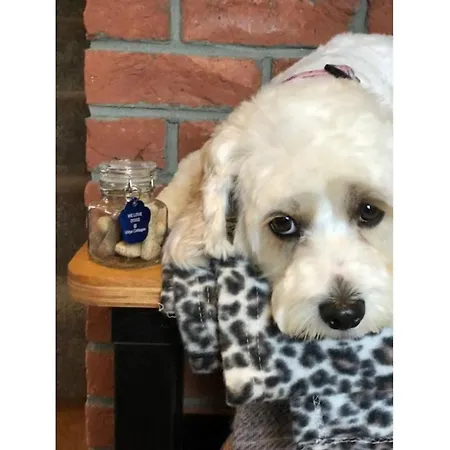 Paradise View بيت للعطل *