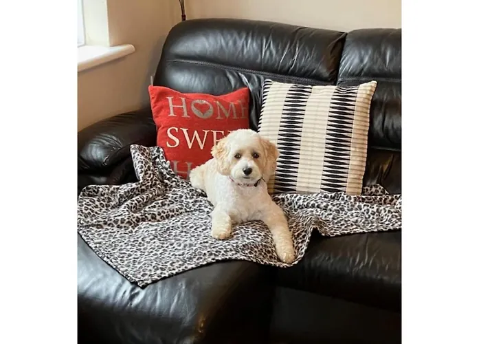 Paradise View Holiday home *