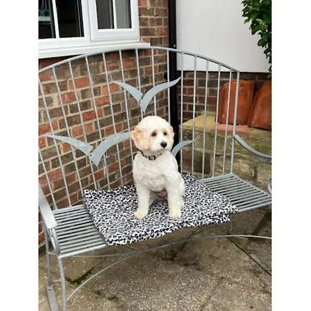 Holiday home Paradise View *